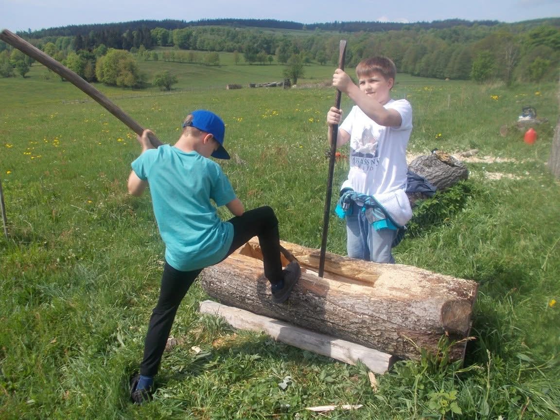 Edukacyjne zajęcia przyrodnicze: ŻYCIE PSZCZÓŁ