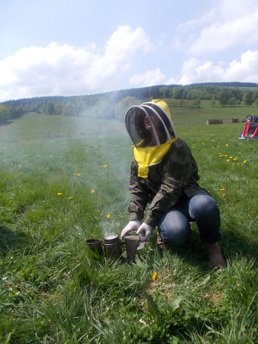 Naturpädagogische Aktivitäten: DAS LEBEN DER BIENEN