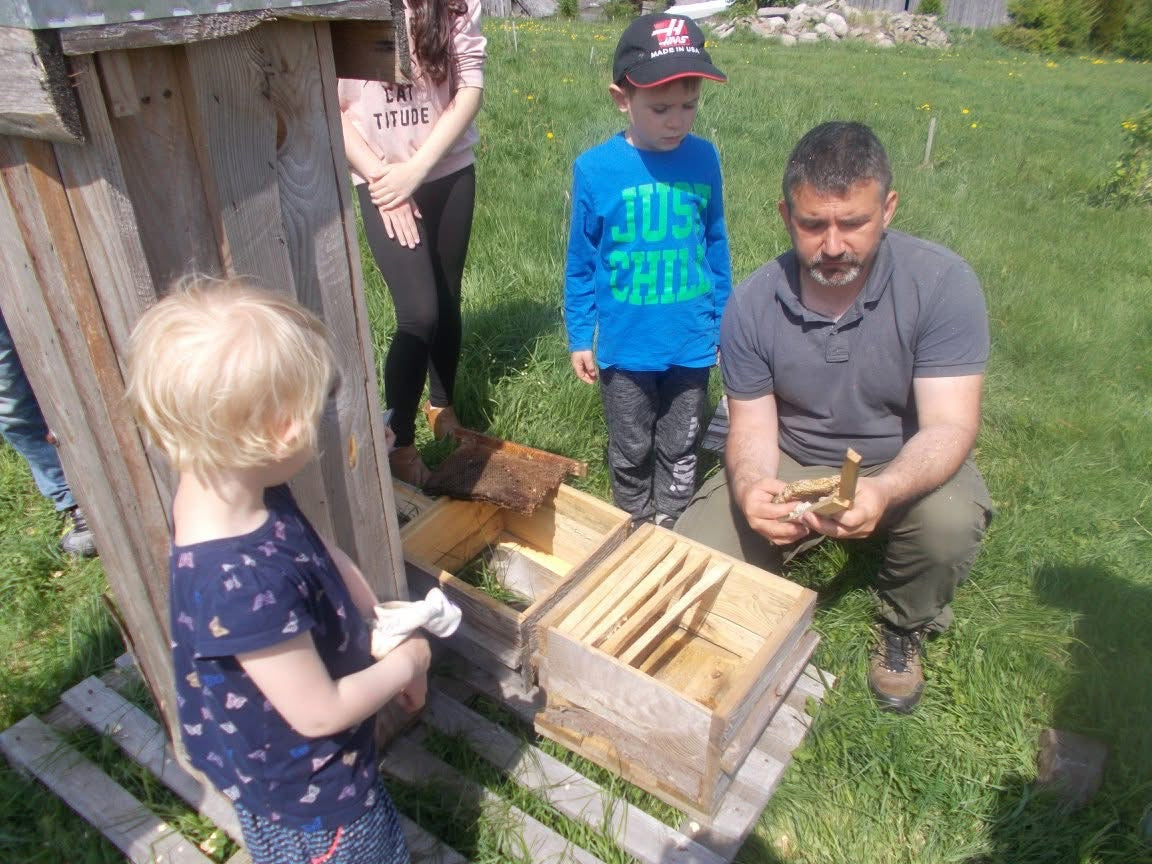 Edukacyjne zajęcia przyrodnicze: ŻYCIE PSZCZÓŁ