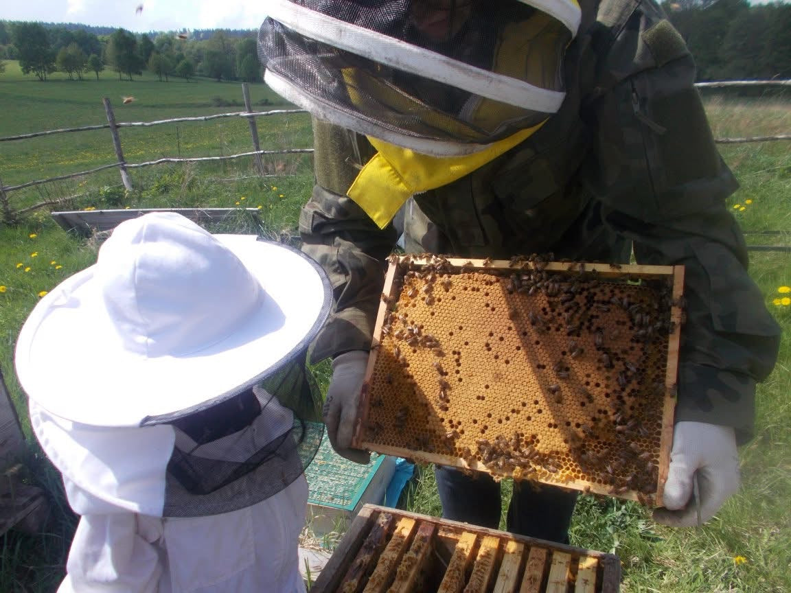 Naturpädagogische Aktivitäten: DAS LEBEN DER BIENEN