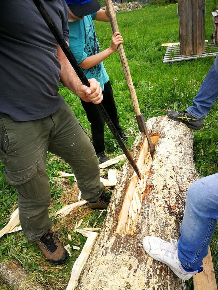 Naturpädagogische Aktivitäten: DAS LEBEN DER BIENEN