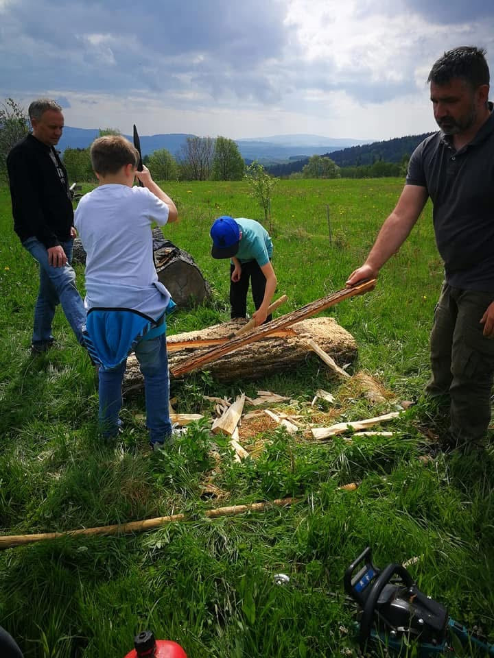 Naturpädagogische Aktivitäten: DAS LEBEN DER BIENEN