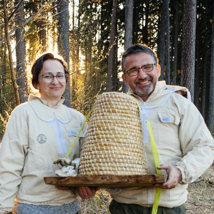 Naturpädagogische Aktivitäten: DAS LEBEN DER BIENEN