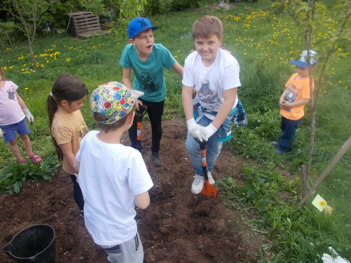 Edukacyjne zajęcia przyrodnicze: ŻYCIE PSZCZÓŁ