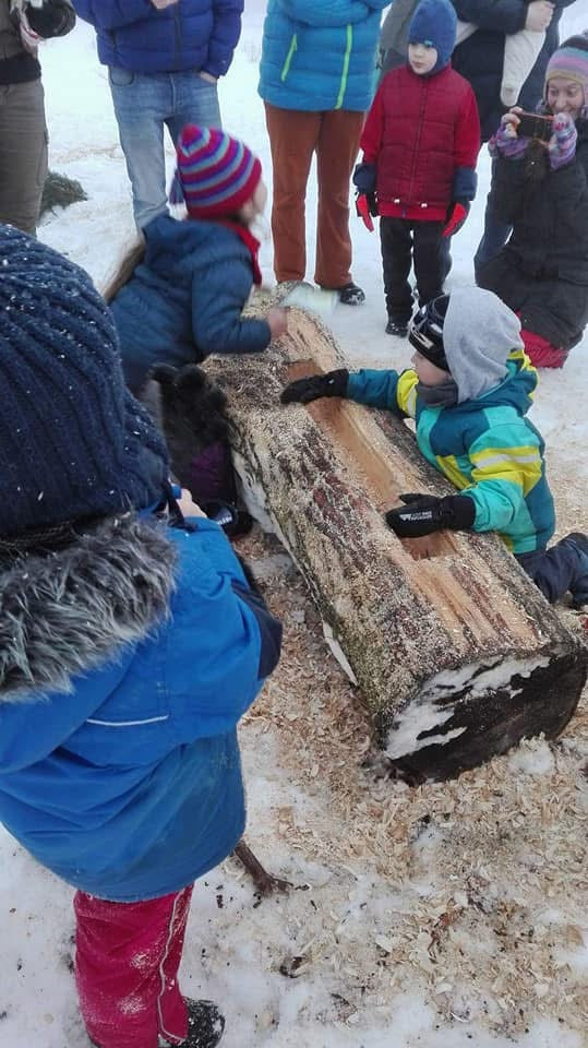 Edukacyjne zajęcia przyrodnicze: ŻYCIE PSZCZÓŁ