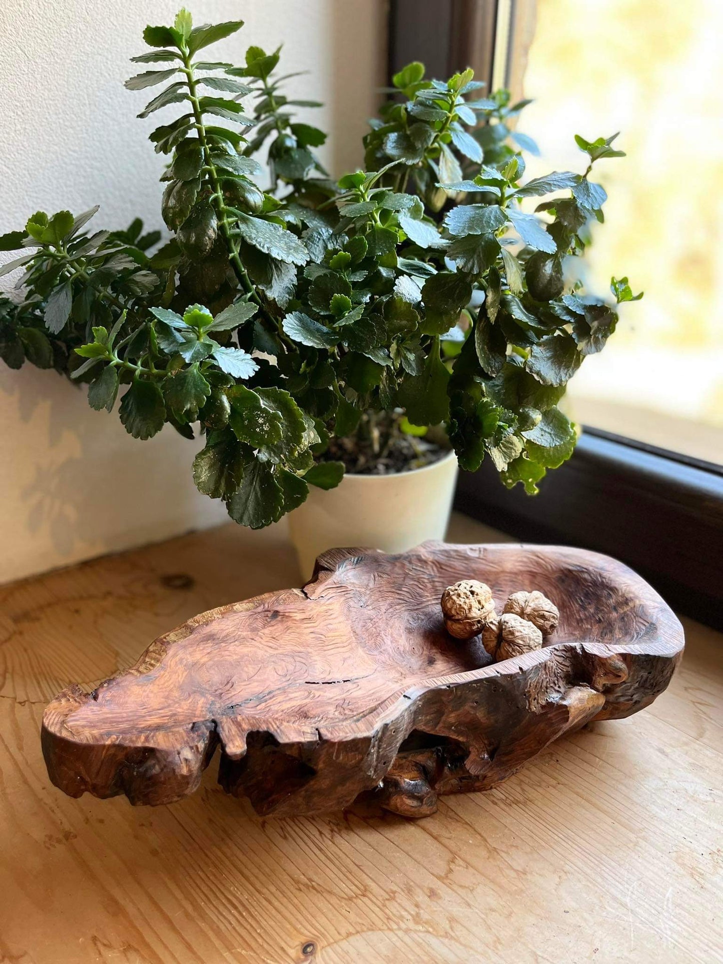 Misy, patery i wazony