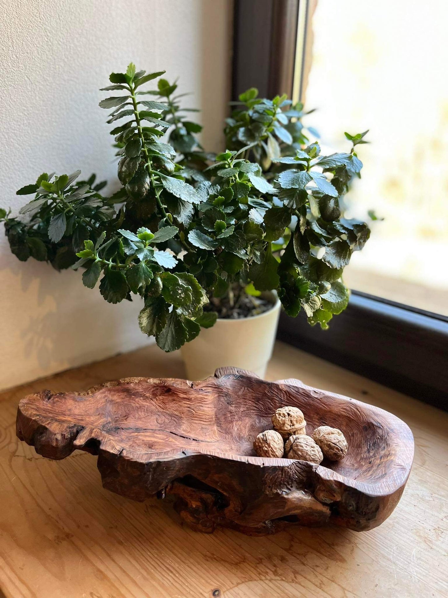 Misy, patery i wazony